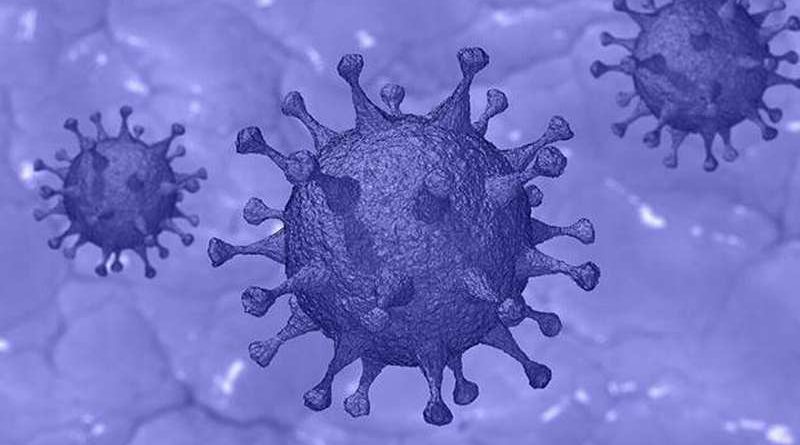 coronavirus